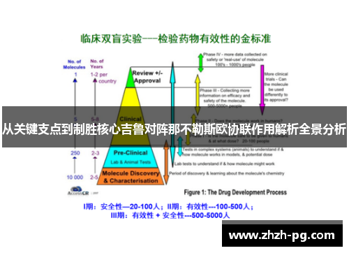 从关键支点到制胜核心吉鲁对阵那不勒斯欧协联作用解析全景分析 从关键支点到制胜核心吉鲁对阵那不勒斯欧协联作用解析全景分析