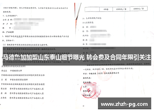 马德鲁加加盟山东泰山细节曝光 转会费及合同年限引关注 马德鲁加加盟山东泰山细节曝光 转会费及合同年限引关注