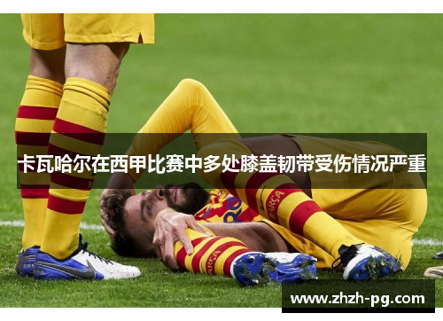 卡瓦哈尔在西甲比赛中多处膝盖韧带受伤情况严重 卡瓦哈尔在西甲比赛中多处膝盖韧带受伤情况严重