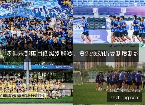多俱乐部集团低级别联赛,资源联动仍受制度制约 多俱乐部集团低级别联赛,资源联动仍受制度制约